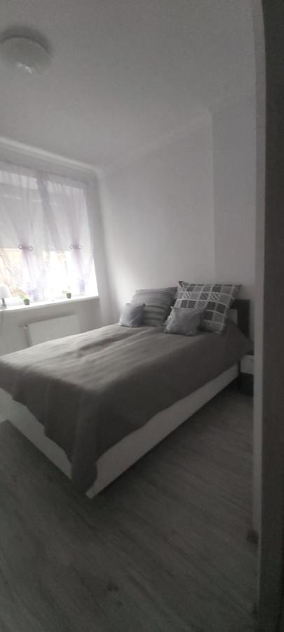Apartament U Eli Stronie Śląskie Εξωτερικό φωτογραφία